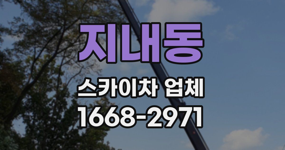지내동 스카이차 업체