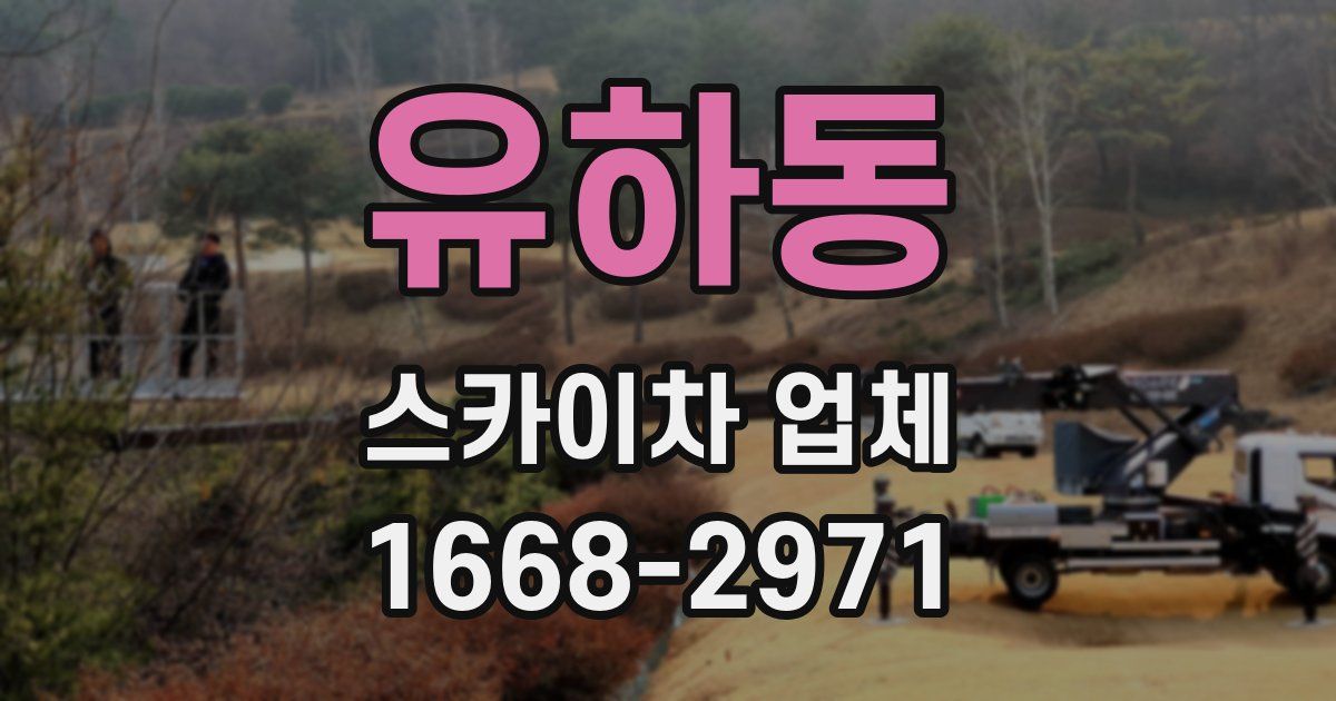 유하동 스카이차 업체