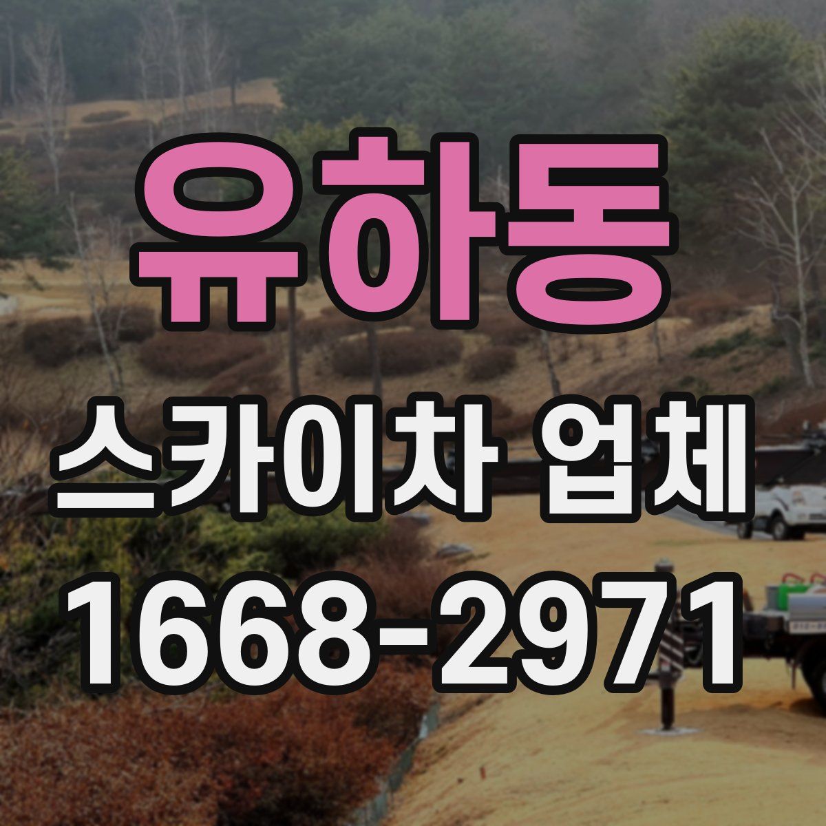 유하동 스카이차 업체