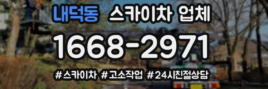 내덕동 스카이차 업체