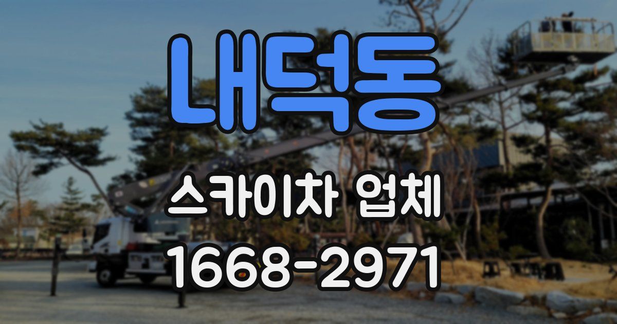 내덕동 스카이차 업체