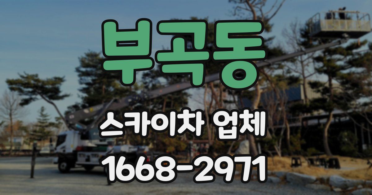 부곡동 스카이차 업체