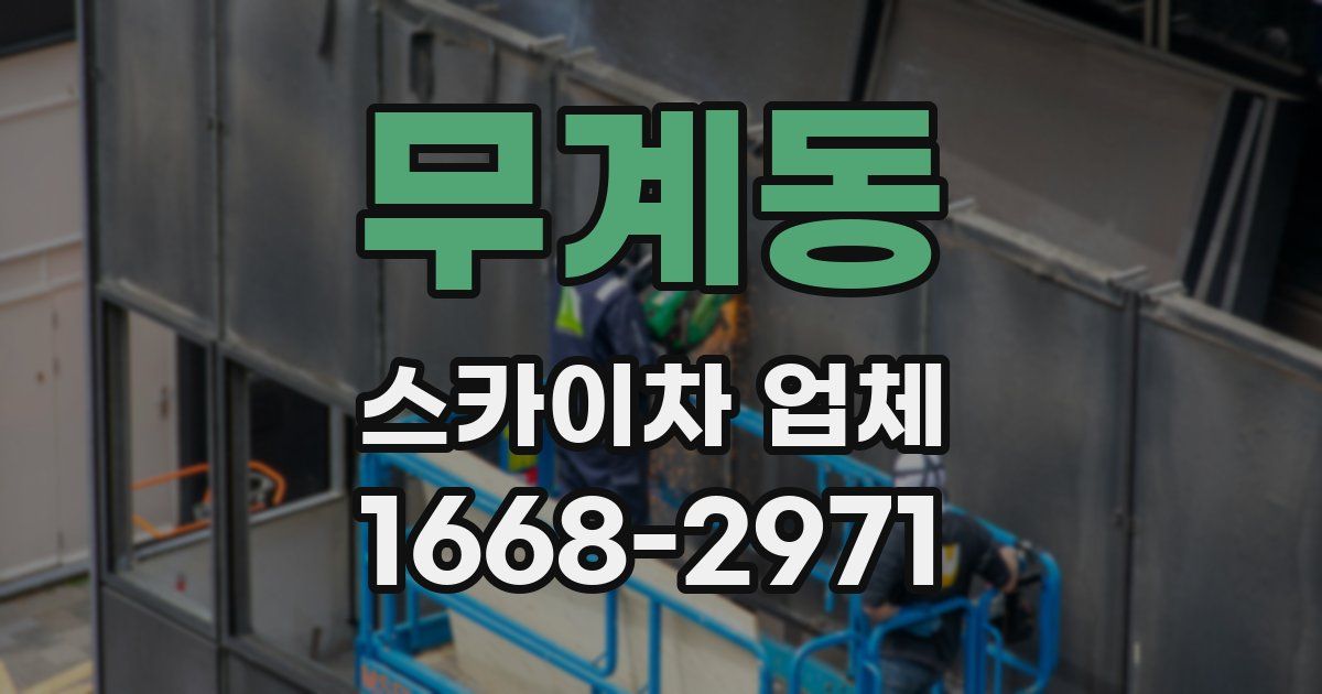 무계동 스카이차 업체