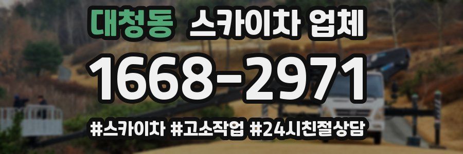 대청동 스카이차 업체