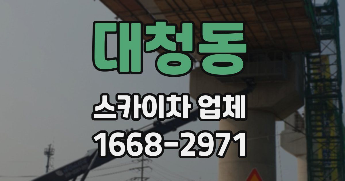 대청동 스카이차 업체