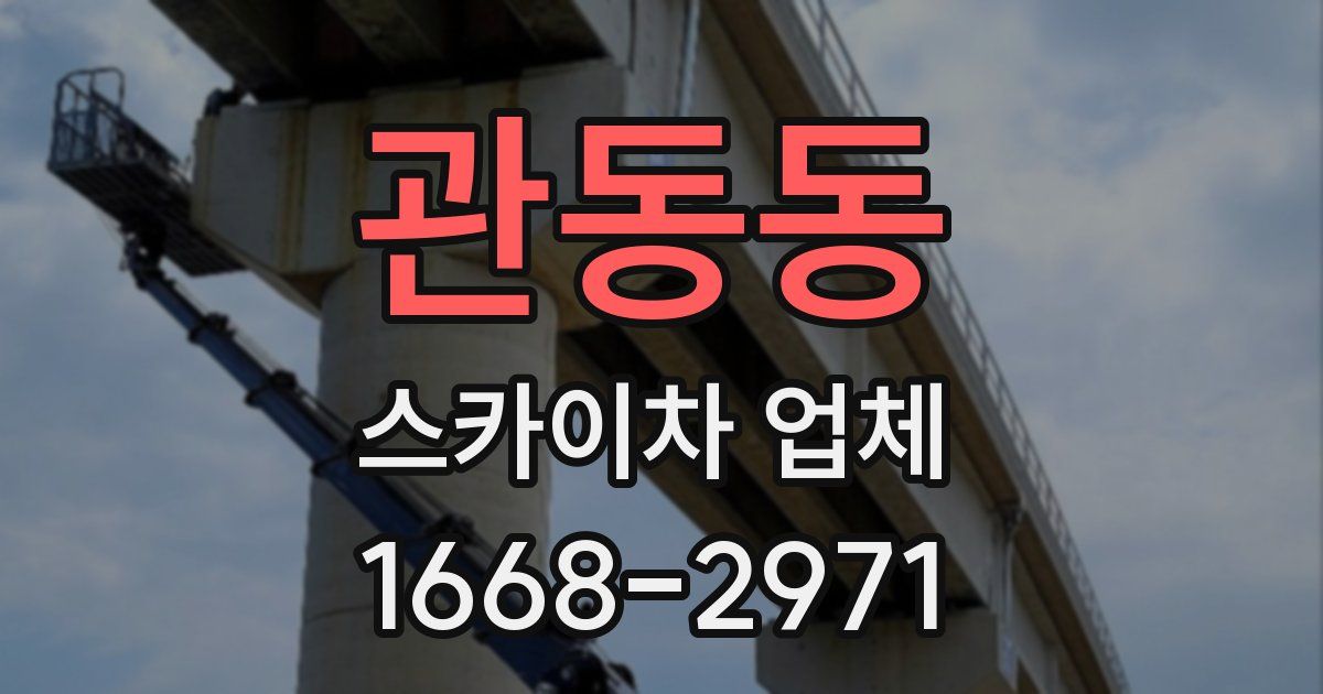 관동동 스카이차 업체