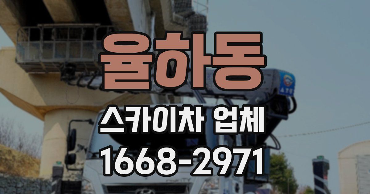 율하동 스카이차 업체