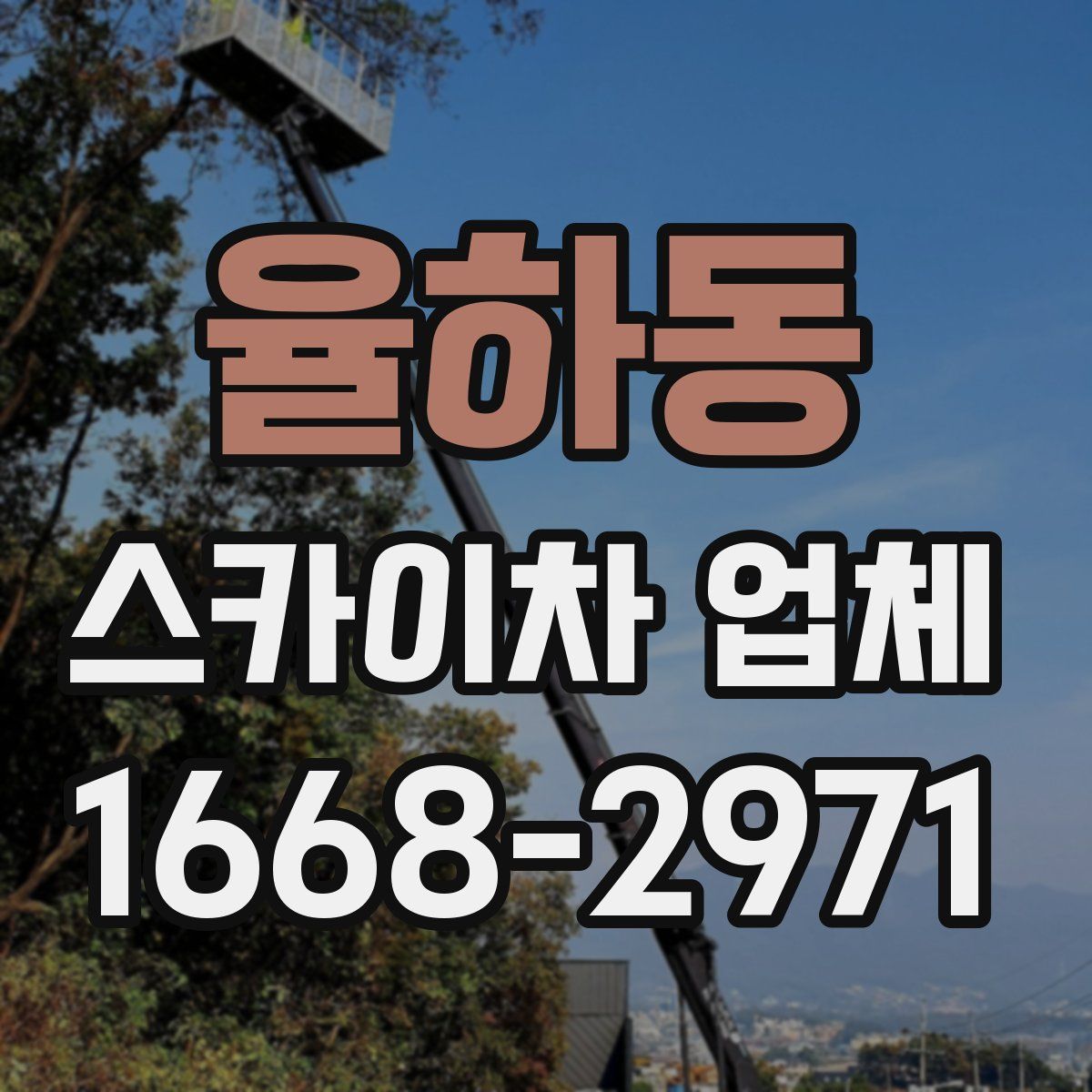 율하동 스카이차 업체