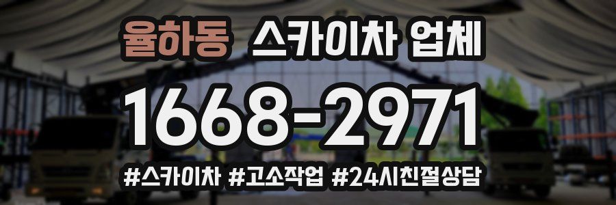 율하동 스카이차 업체