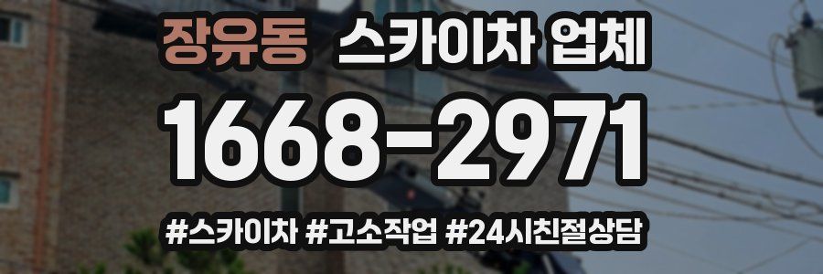 장유동 스카이차 업체