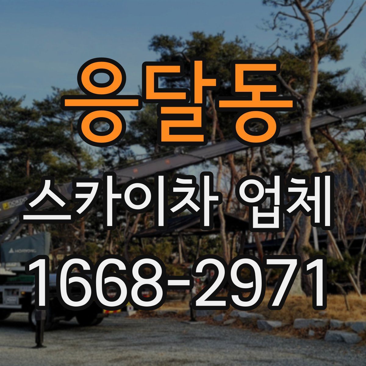 응달동 스카이차 업체