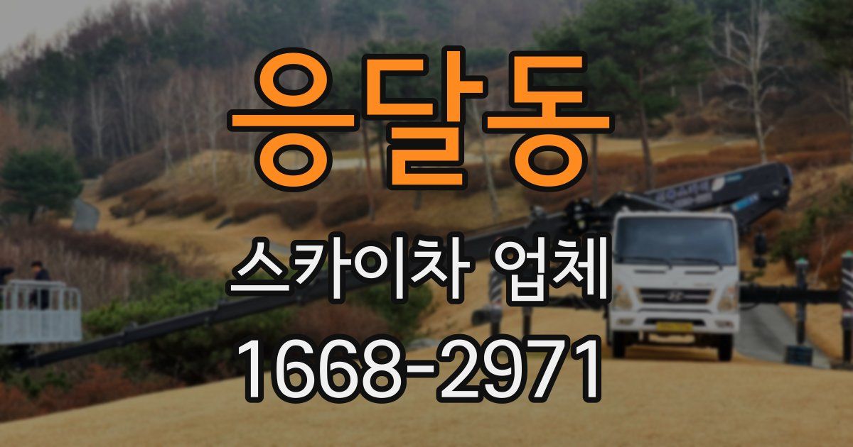 응달동 스카이차 업체