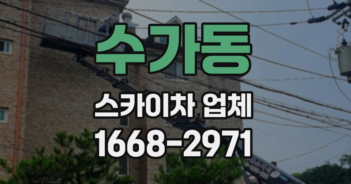 수가동 스카이차 업체