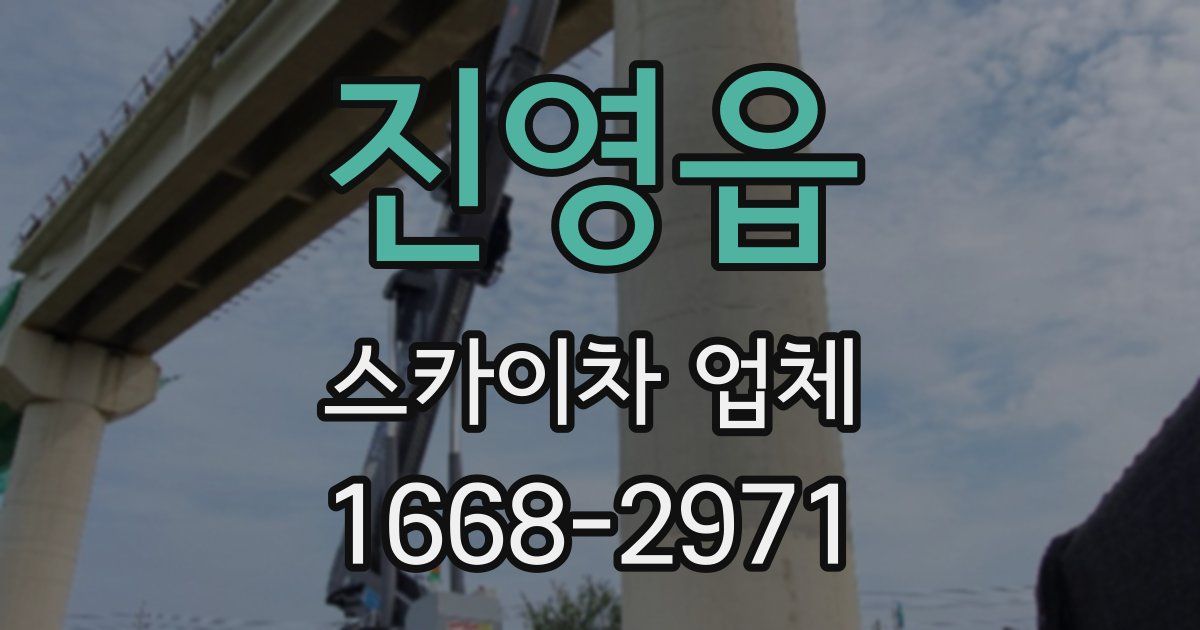 진영읍 스카이차 업체