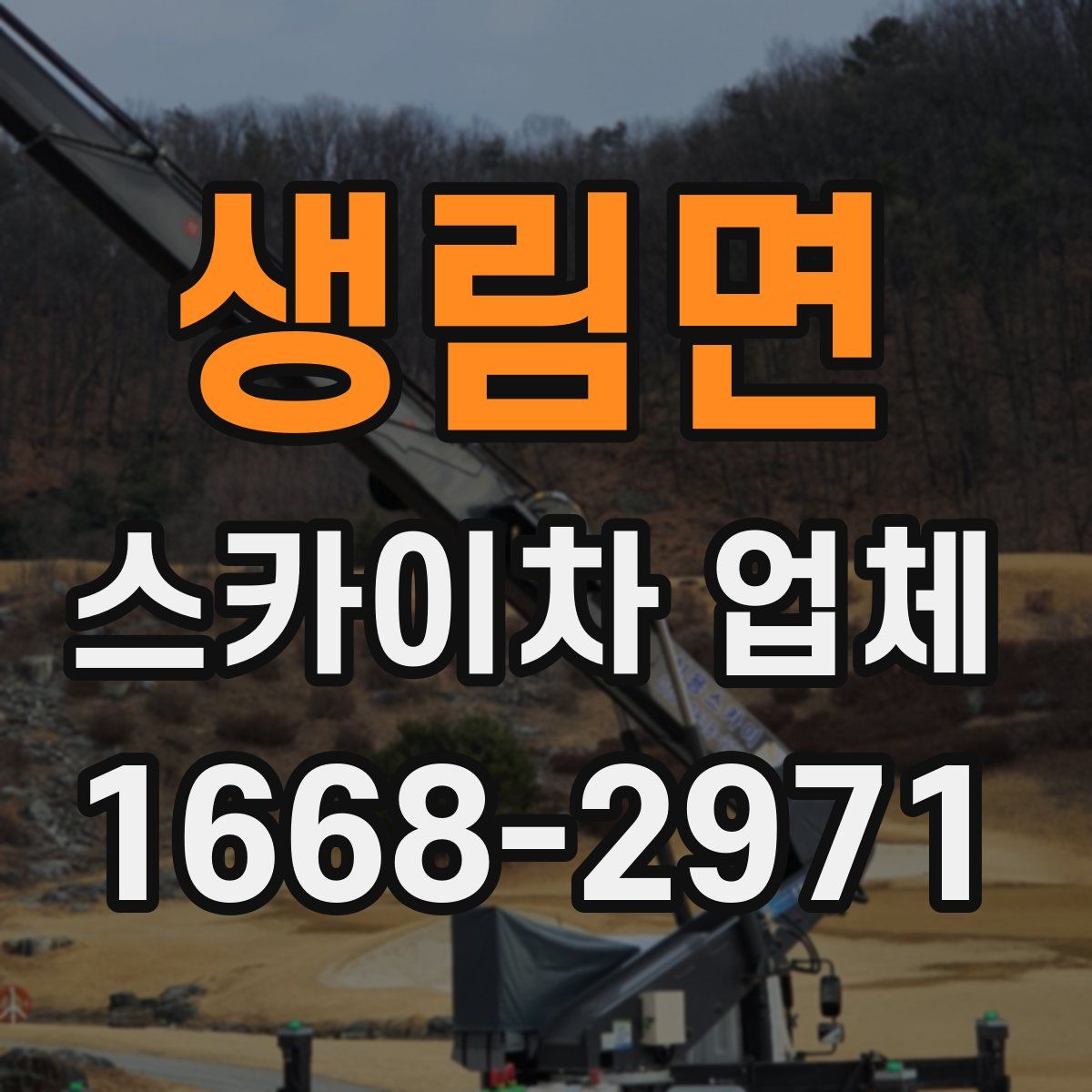 생림면 스카이차 업체