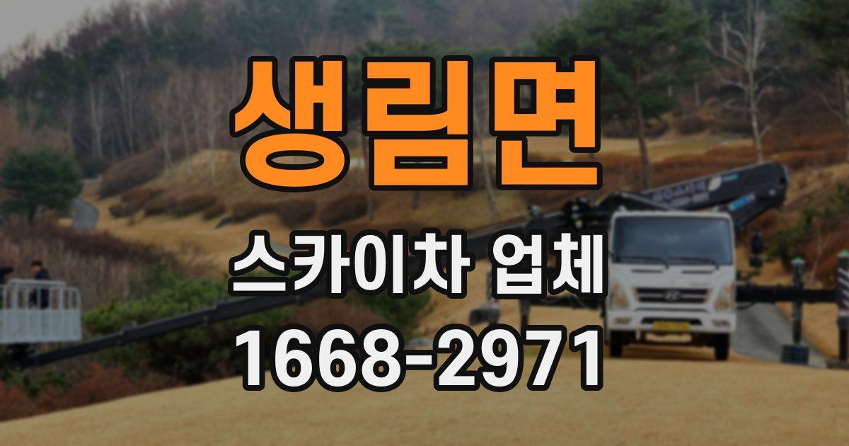 생림면 스카이차 업체