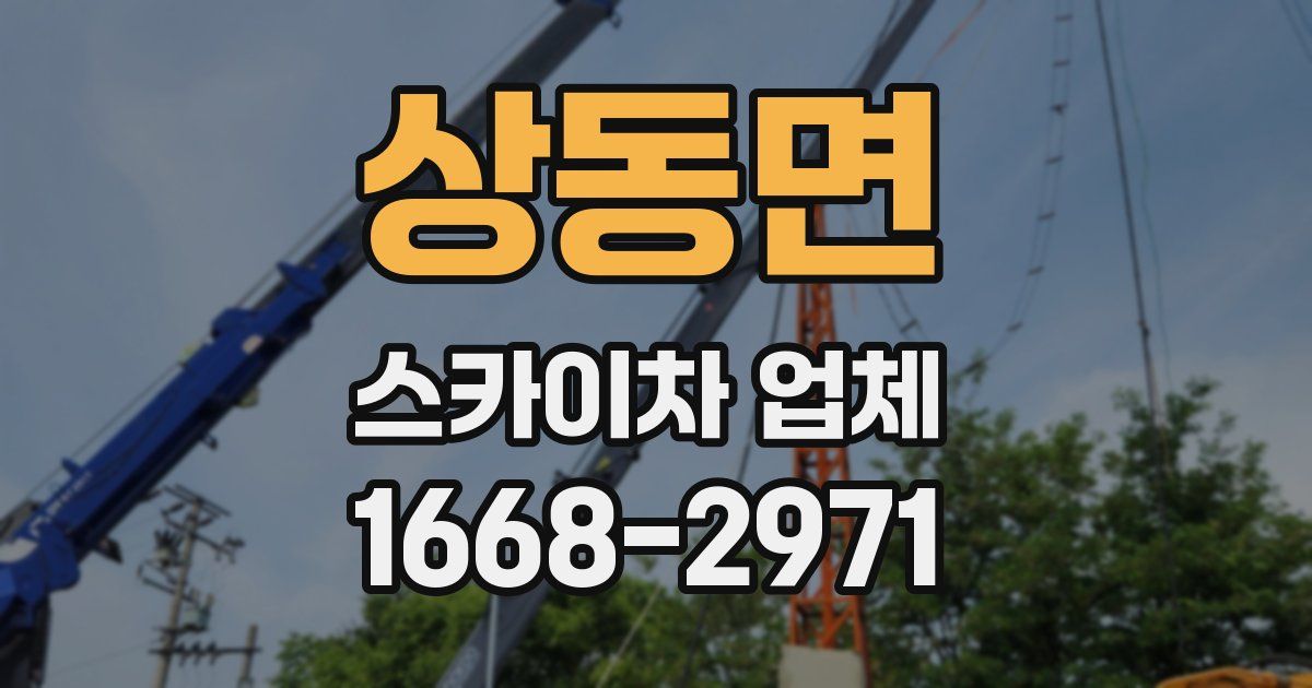 상동면 스카이차 업체