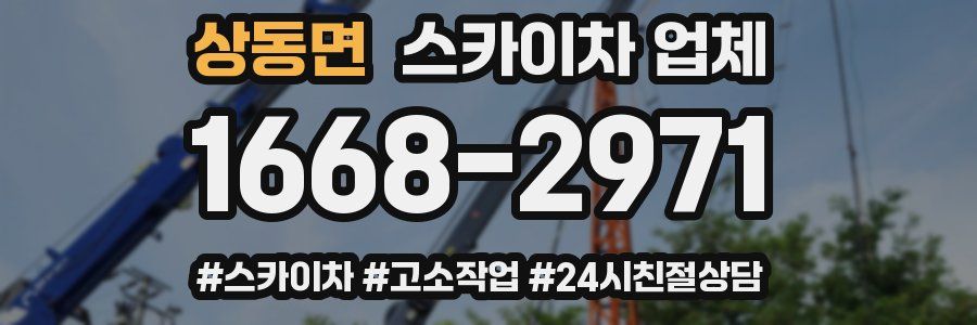 상동면 스카이차 업체