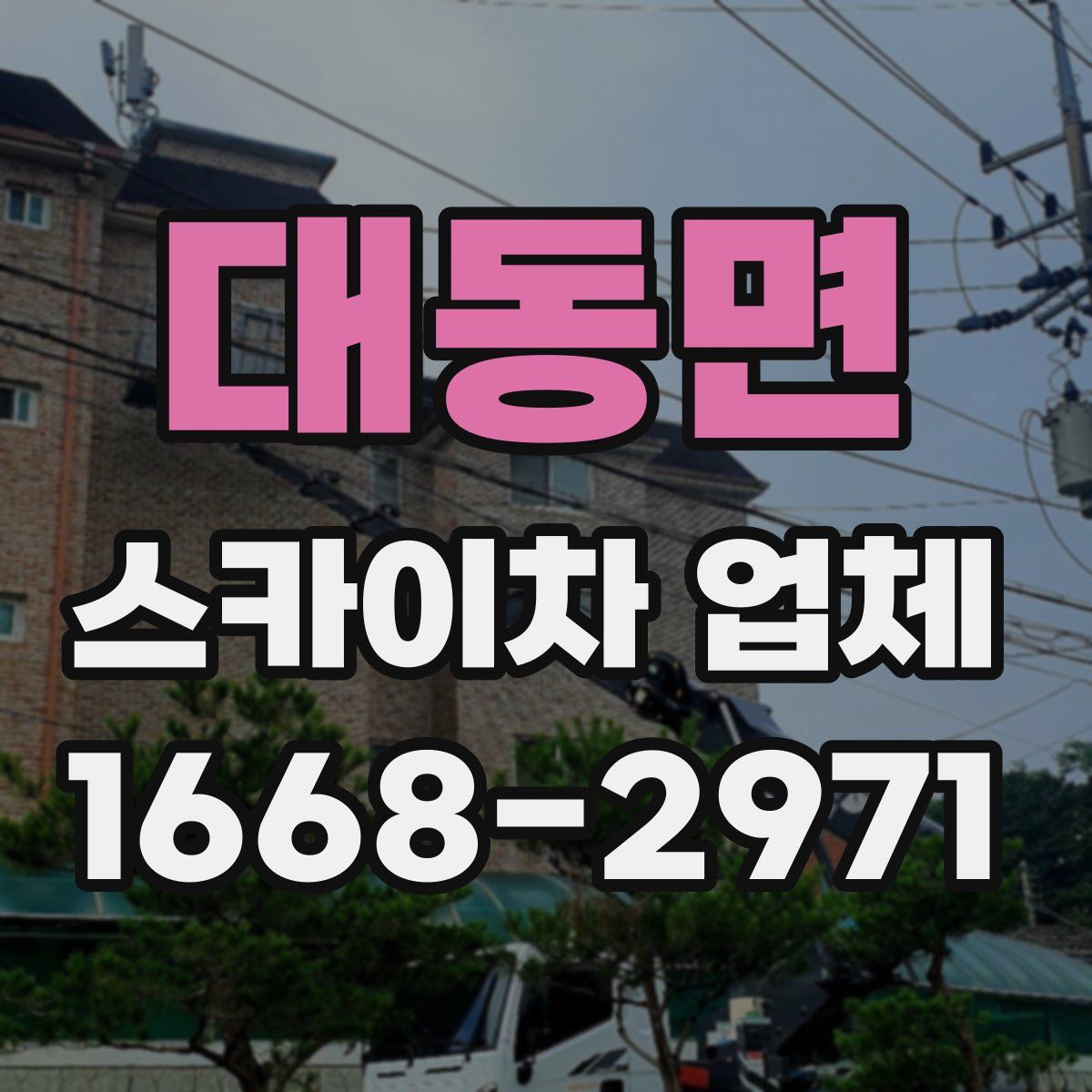대동면 스카이차 업체