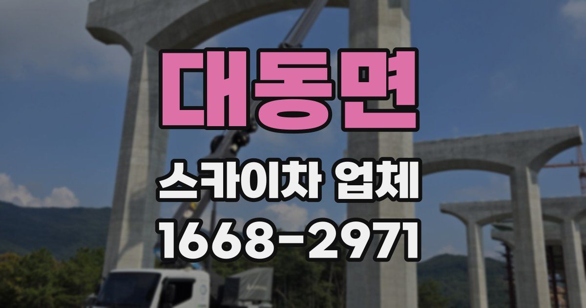 대동면 스카이차 업체