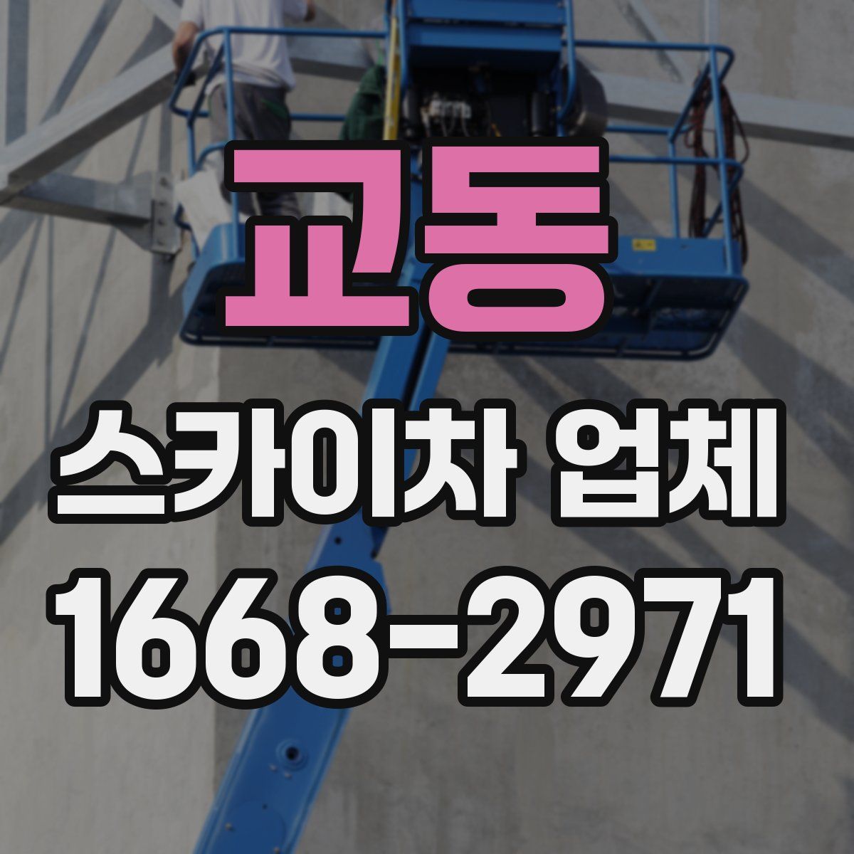 교동 스카이차 업체