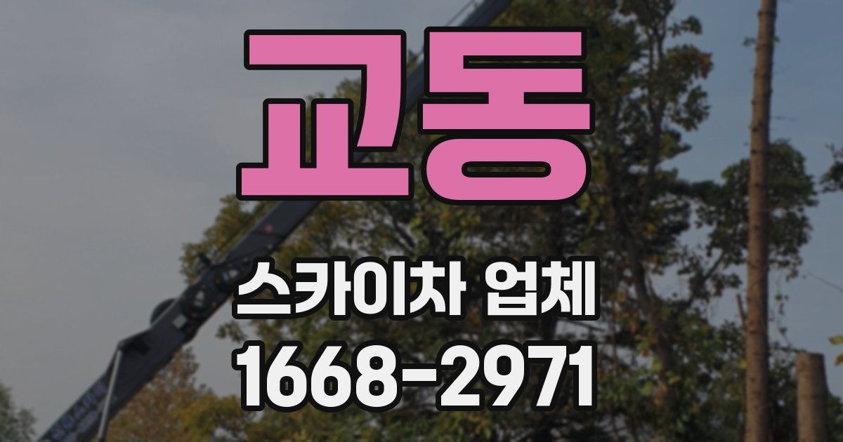 교동 스카이차 업체