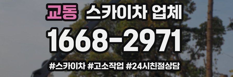 교동 스카이차 업체