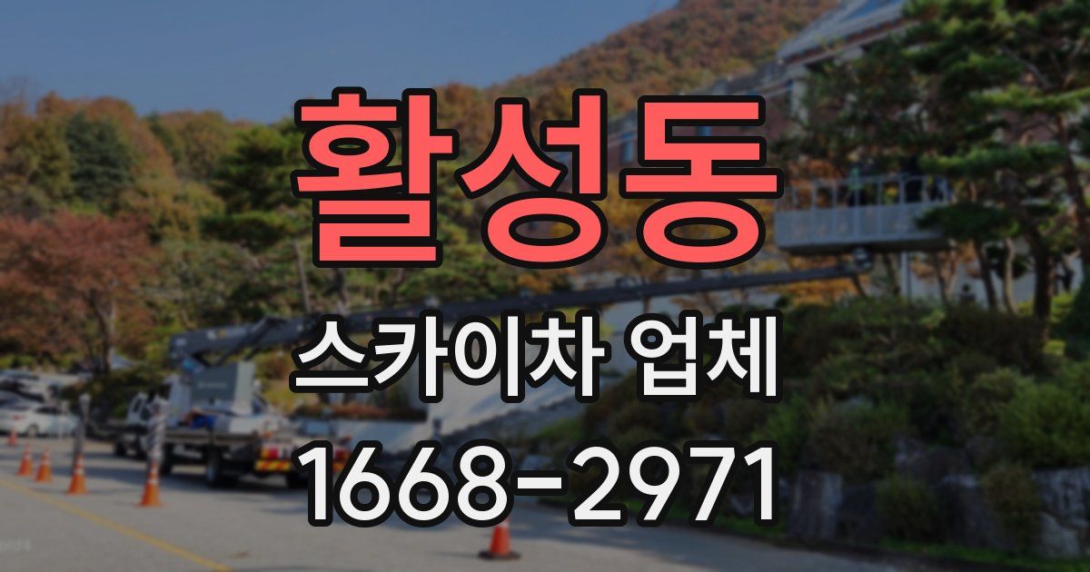 활성동 스카이차 업체