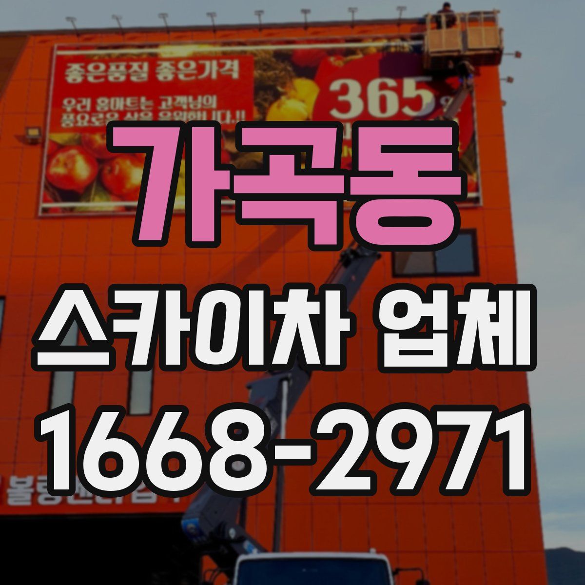 가곡동 스카이차 업체