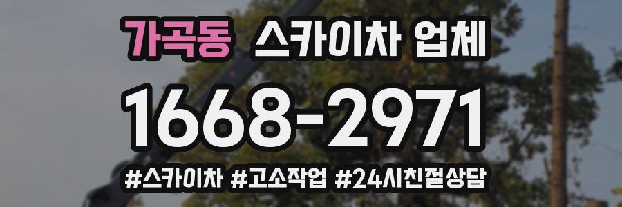 가곡동 스카이차 업체