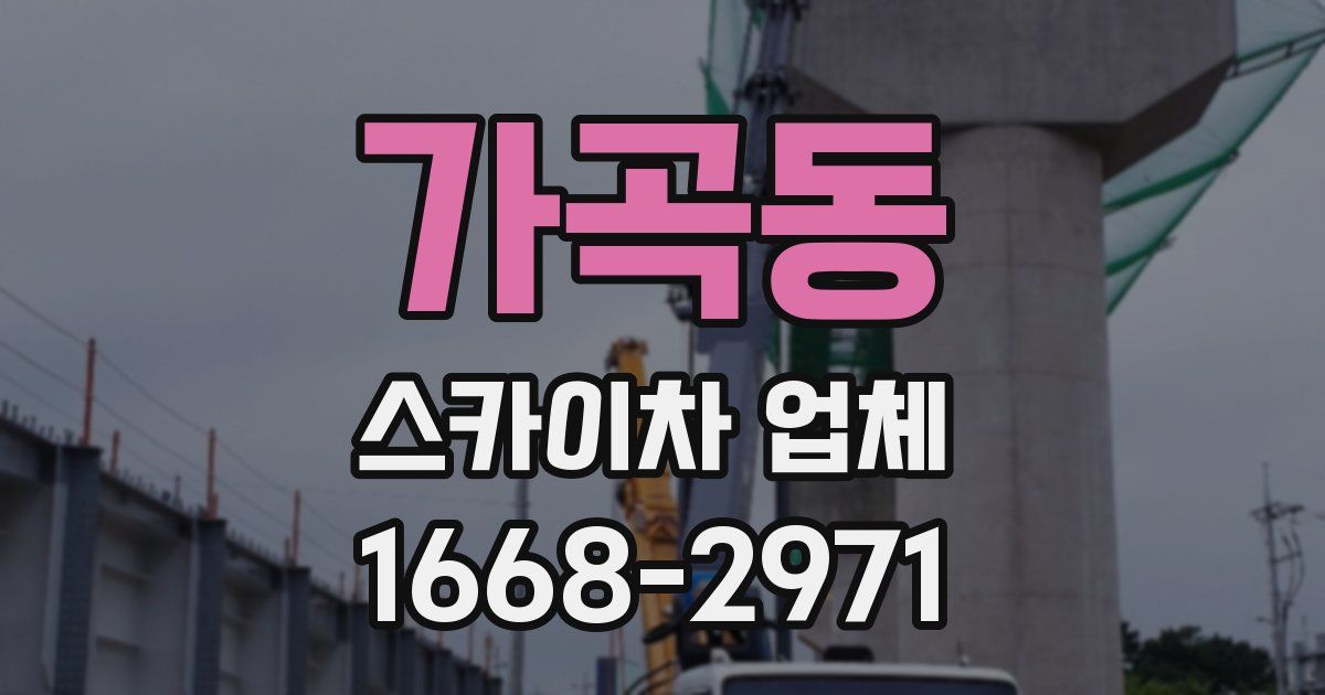 가곡동 스카이차 업체