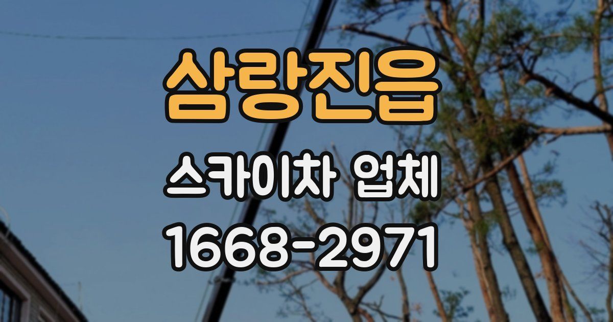 삼랑진읍 스카이차 업체