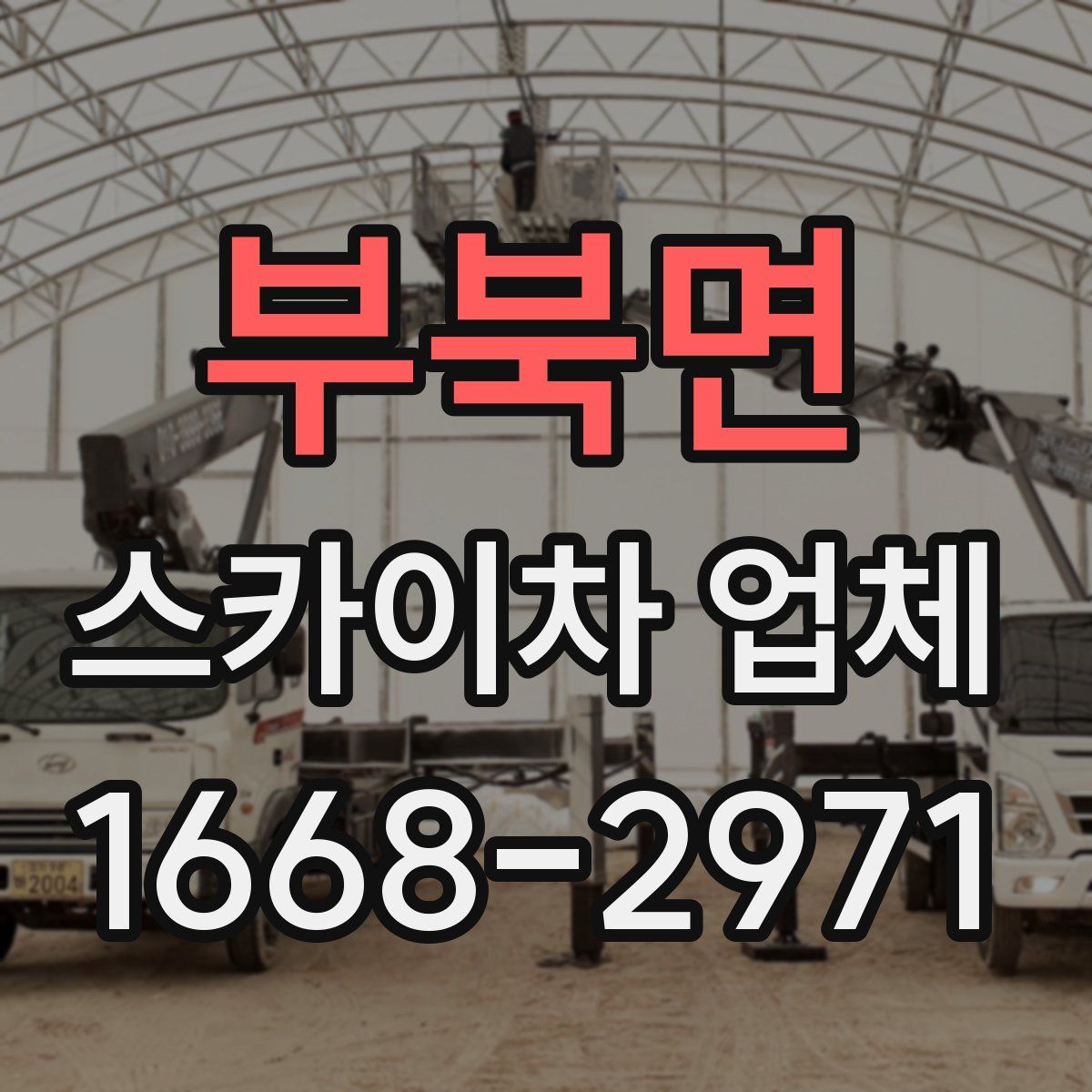 부북면 스카이차 업체