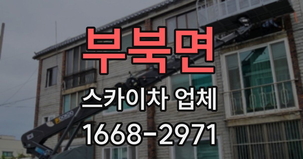 부북면 스카이차 업체