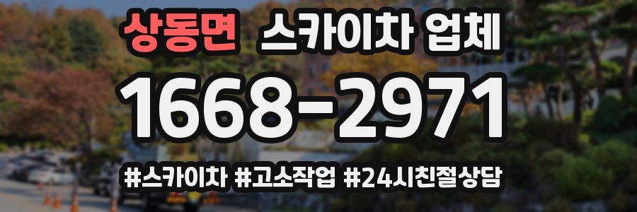 상동면 스카이차 업체