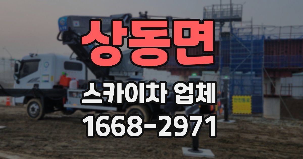 상동면 스카이차 업체