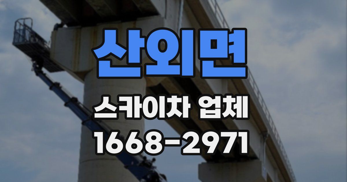 산외면 스카이차 업체