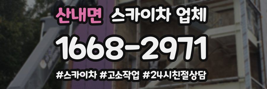 산내면 스카이차 업체