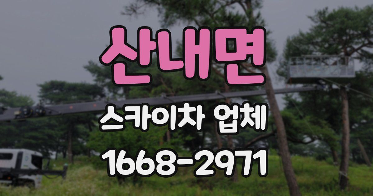 산내면 스카이차 업체