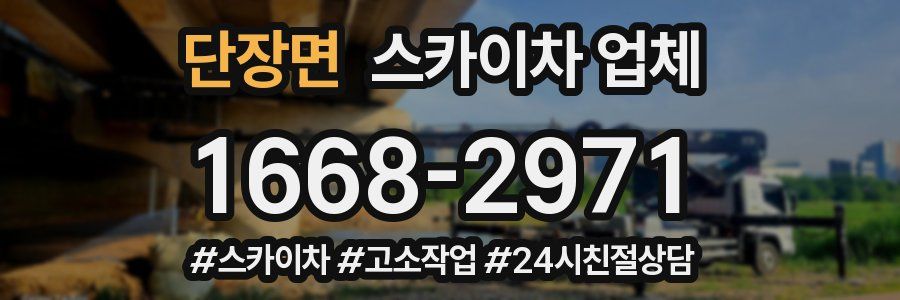 단장면 스카이차 업체