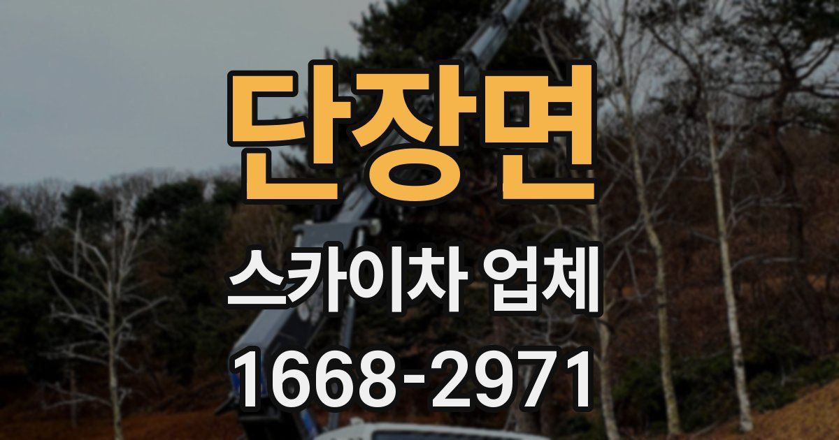 단장면 스카이차 업체