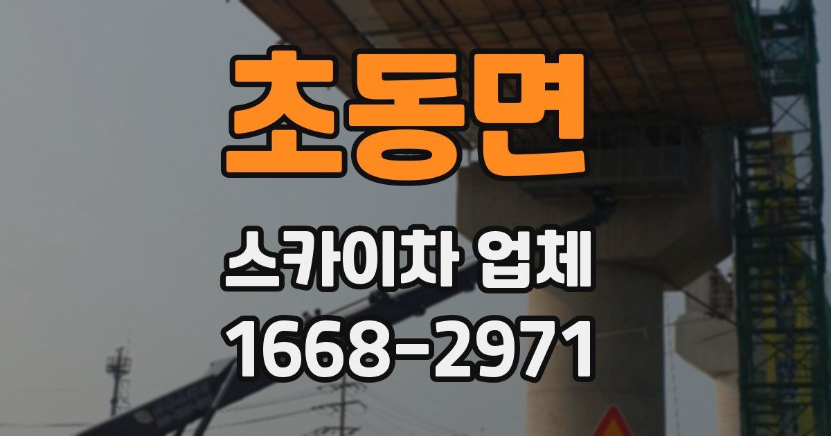 초동면 스카이차 업체