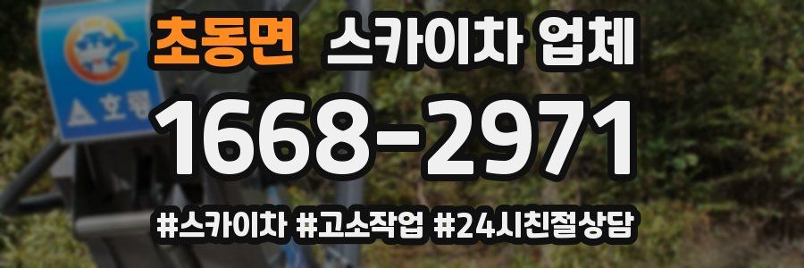 초동면 스카이차 업체