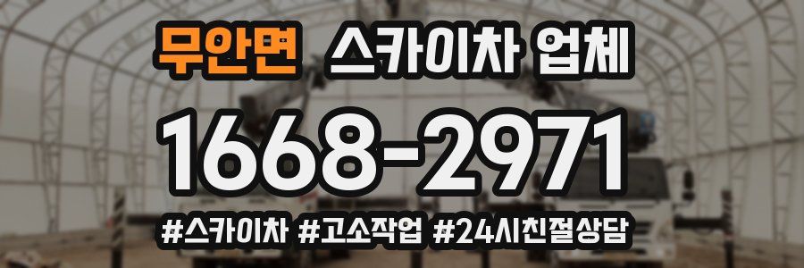 무안면 스카이차 업체