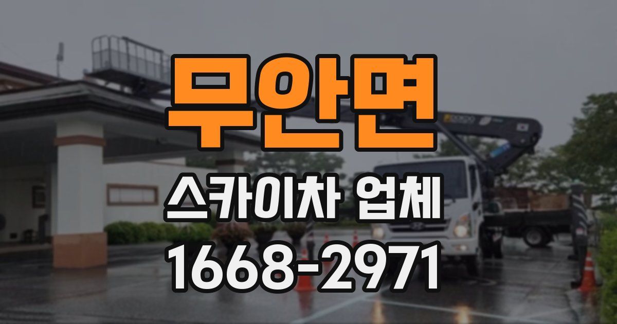 무안면 스카이차 업체