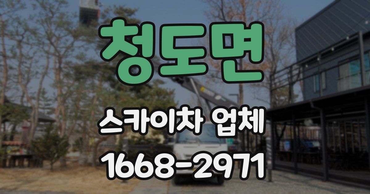 청도면 스카이차 업체