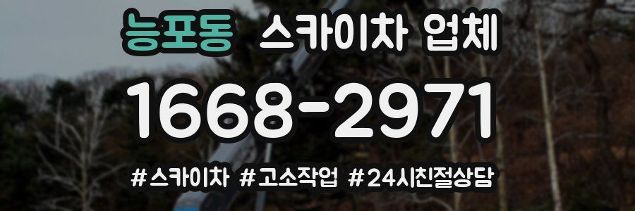 능포동 스카이차 업체