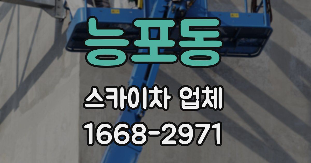 능포동 스카이차 업체