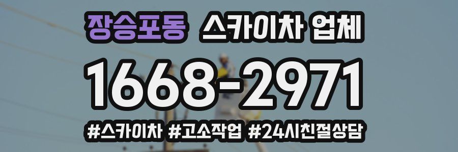 장승포동 스카이차 업체