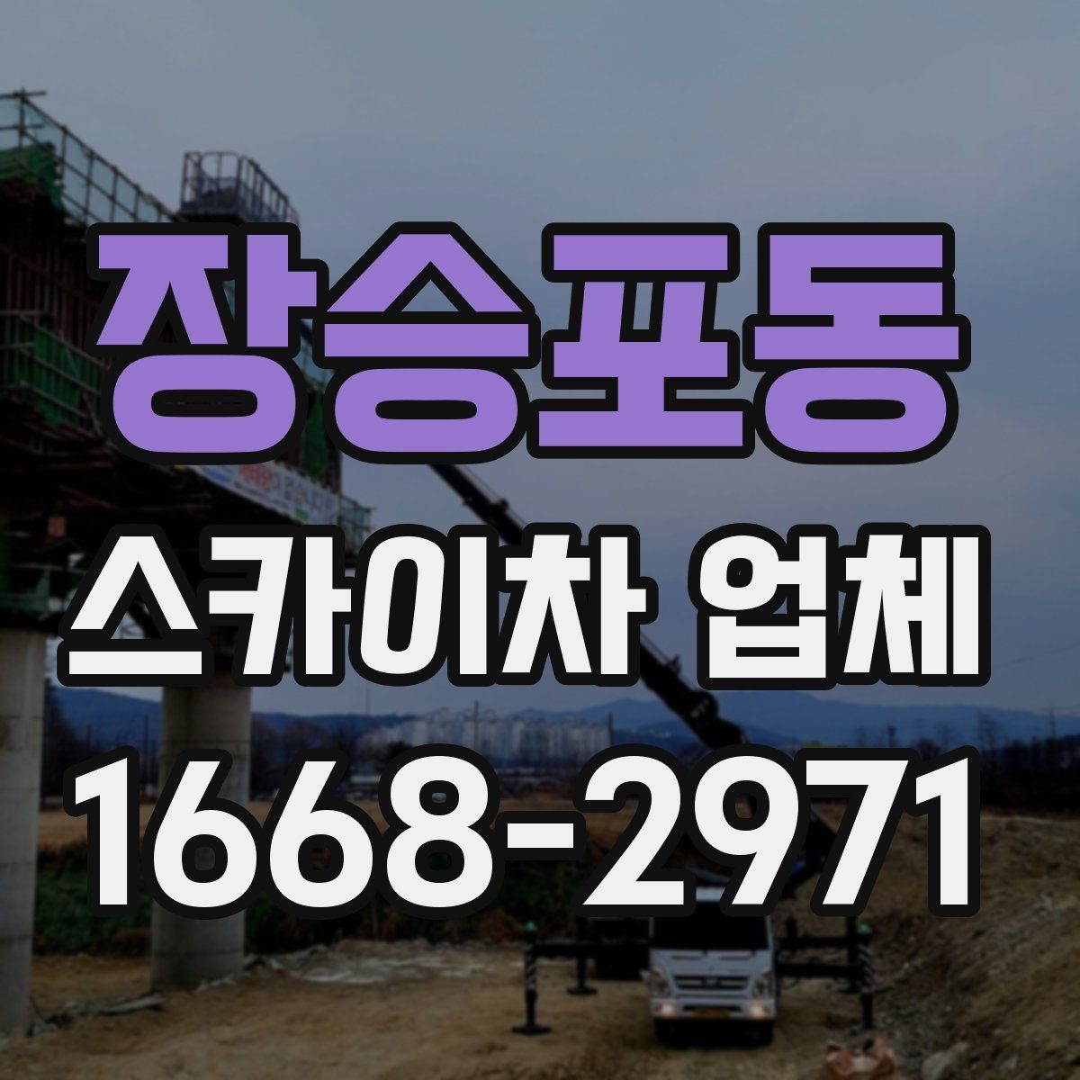 장승포동 스카이차 업체
